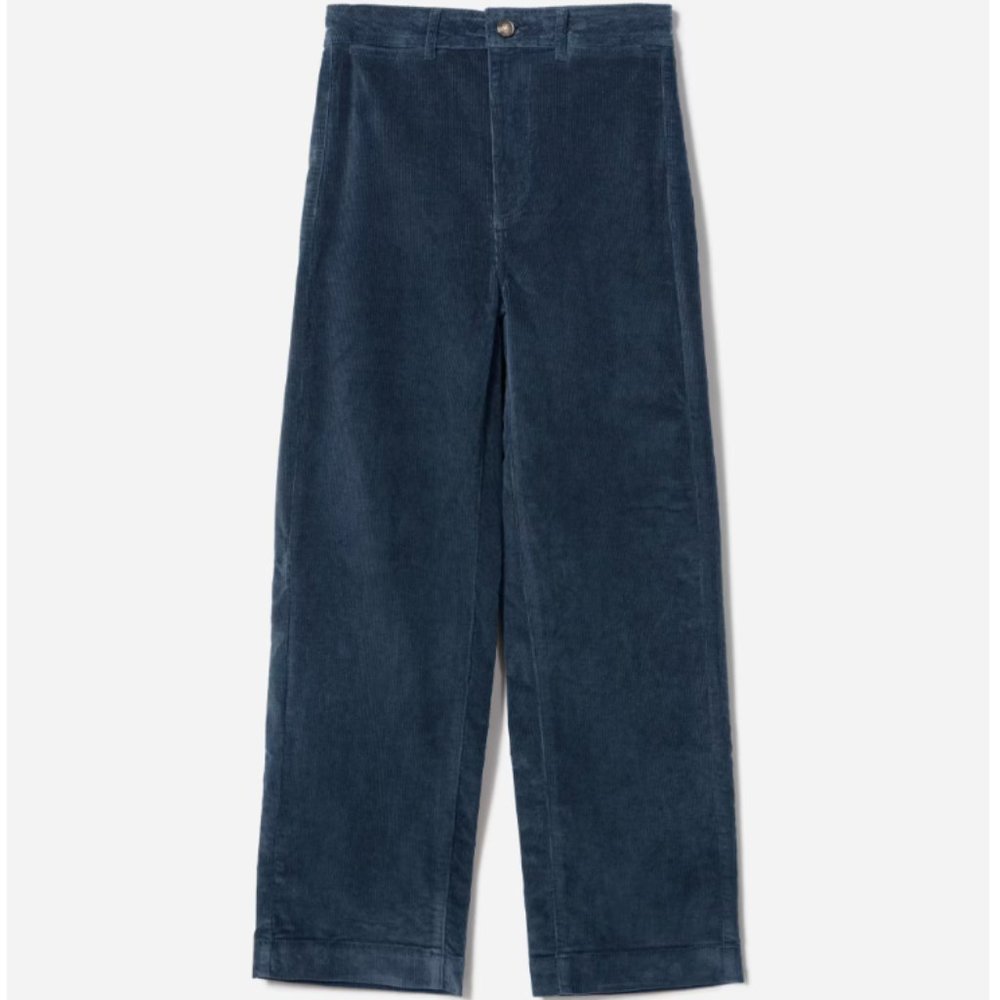 Everlane Corduroy Wide-Leg Pant in Atlantic - 4